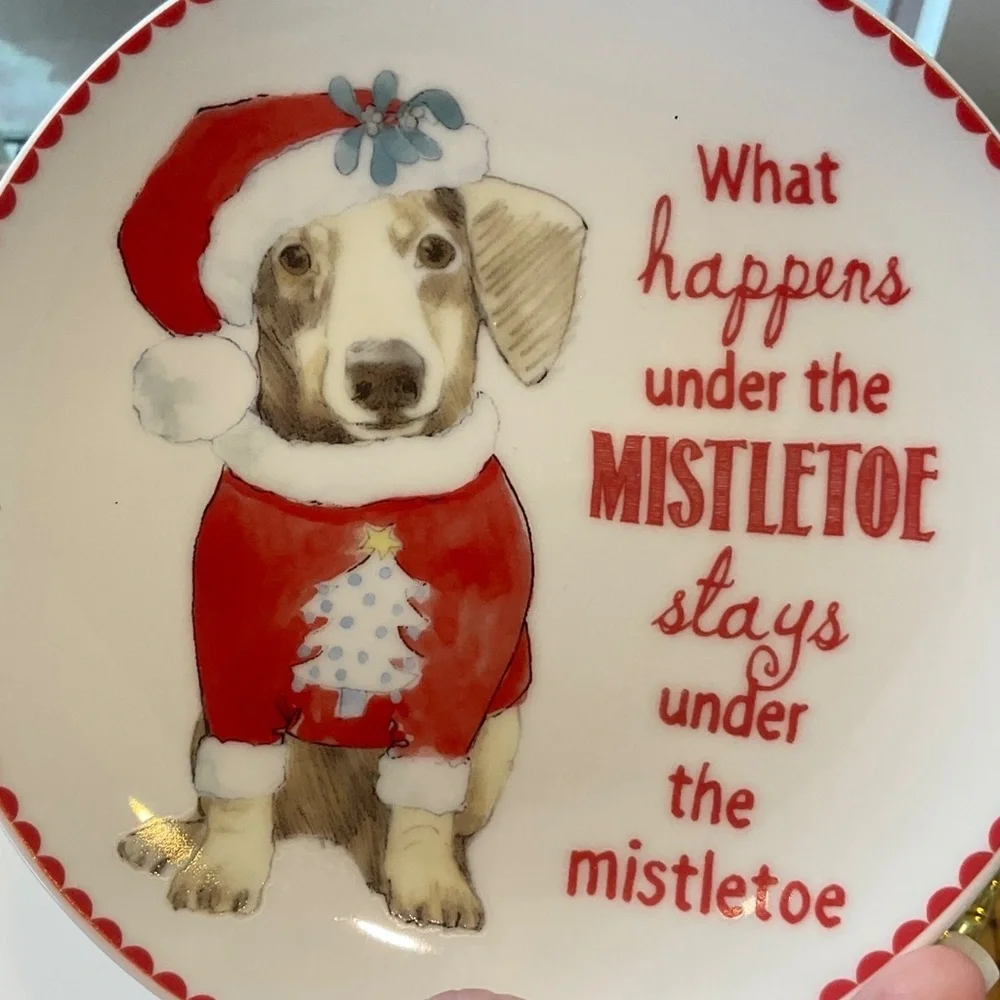 Pier 1 Christmas Dog Plates 2 Total NWOT